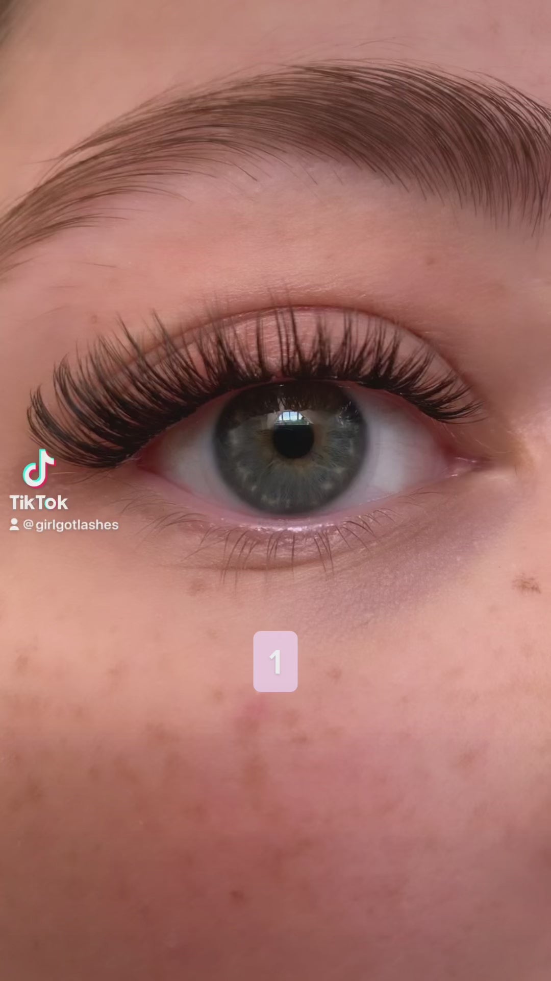 Cat Eye Edition - Mini Boxes