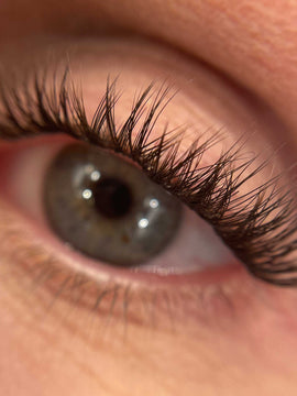 Cat Eye Edition - Mini Boxes